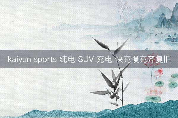 kaiyun sports 纯电 SUV 充电 快充慢充齐复旧