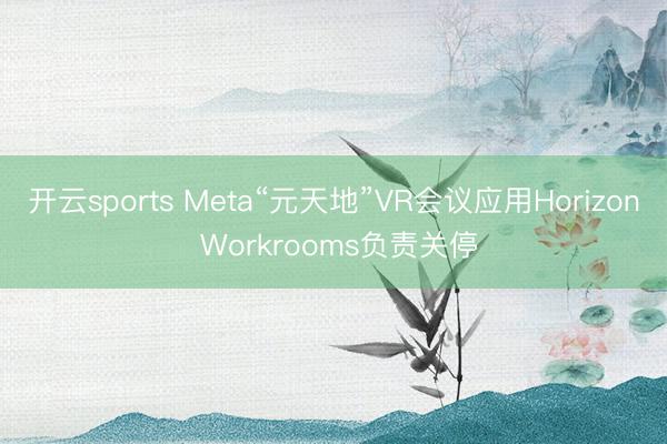 开云sports Meta“元天地”VR会议应用Horizon Workrooms负责关停